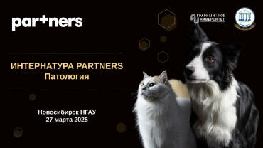 ����������� � ������������� ��� ��������� � ������� ��������� �Partners�