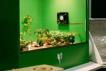 XI ������������� ������-������������ ����������� ������������ �������� ���������� ��������� ������