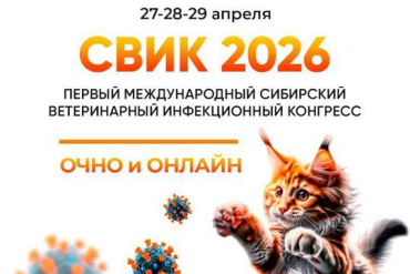SVIC 2026!