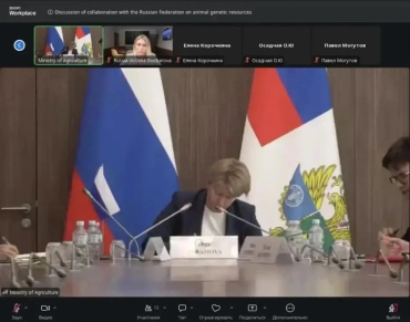 ��������� �������� ���������� ������ ������� � ������� ��������� ���������� ��������� � ����������������� � �������������������� ����������� ��� (���)