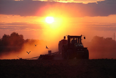 �������� � �������