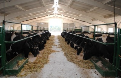 � ������� ����������� ������������ ����, ������ � ���