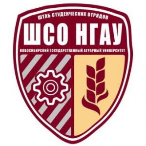 VI ������ ����������� ������������ �������