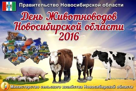 ���� ������������ ��� � 2016