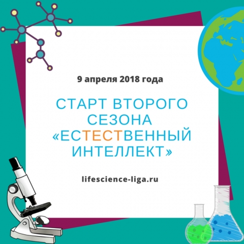 2-� ����� ���� ������ ������������� ��������� .