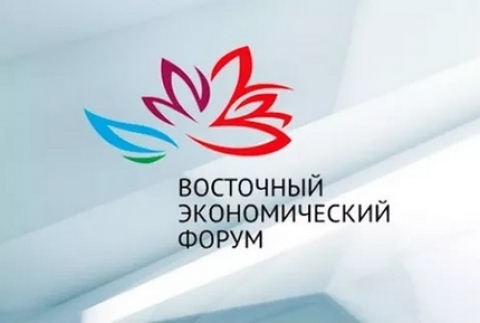 Проведение Восточного экономического форума