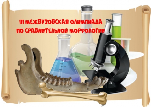 III ������������ ���������