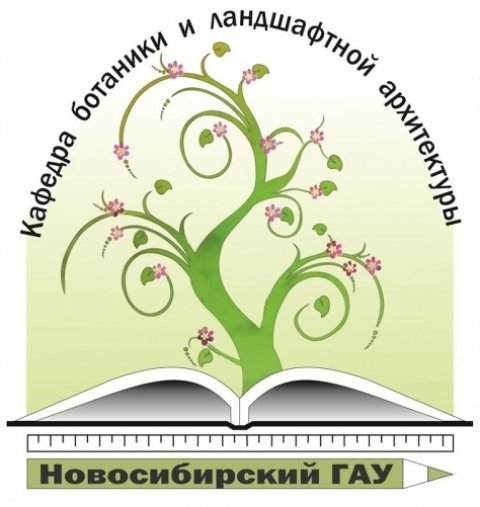� ������������� ��� ��������� ������������ (�������������) ������-������������ ������������ �����������: ������������ �������� ���������� ��������� ������