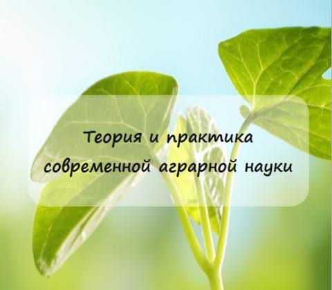 ������� III ������������  (�������������) ������� ����������� � ������������� �������� ������� � �������� ����������� �������� �����