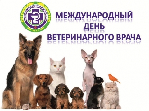 ПОЗДРАВЛЯЕМ!