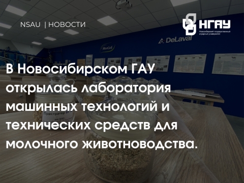 � ������������� ��� �� ���� ����������� ��������� ���������� �������� ����� ����������� �����������