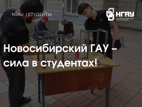 ������������� ��� - ���� � ���������!