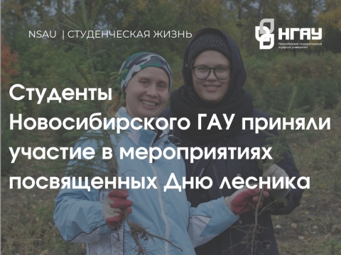 ���������������� ������ �������� ������� � ������������, ����������� ��� �������