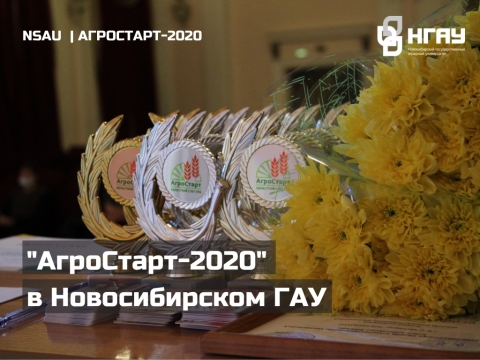 ��������� ��� ����������� ���������������� ������ ����������-2020� � ������������� ���