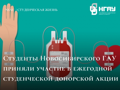 �������� �������������� ��� ������� ������� � ��������� ������������ ��������� �����