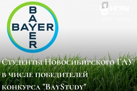 �������� �������������� ��� � ����� �����������  �������� �BayStudy�