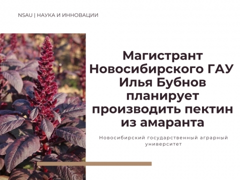 ���������� �������������� ��� ���� ������ ��������� ����������� ������ �� ��������
