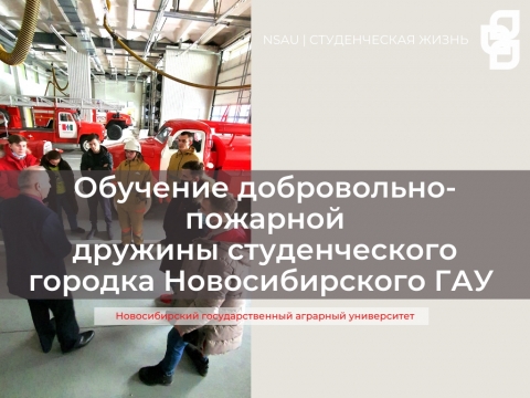 �������� �����������-�������� ������� ������������� ������� �������������� ���