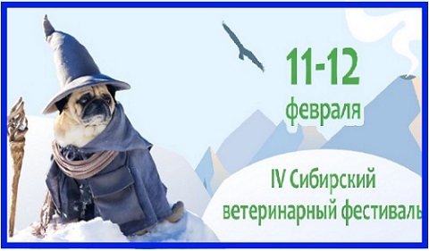 IV ��������� ������������ ���������