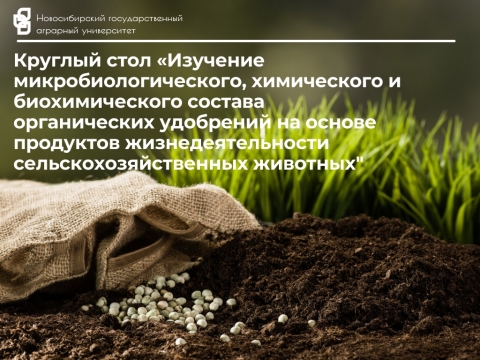��������� �������������������, ����������� � �������������� ������� ������������ ��������� �� ������ ��������� ����������������� �������������������� ���������