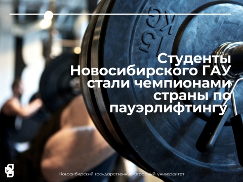 �������� �������������� ��� ����� ���������� ������ �� �������������