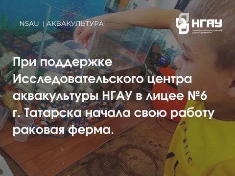 ����������������� ����� ������������ �������������� ��� ������� ���������� ������� �����