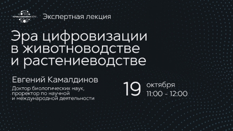 � ������ ������� ���ӻ ������� ���������� ������ ���� ������������ � �������������� � ���������������