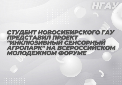 ������� �������������� ��� ���������� ������ ������������ ��������� �������� �� ������������� ���������� ������
