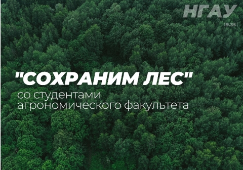 �������� ��������������� ���������� - ��������� ������������� ����� ��������� ���