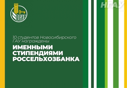 �������� �������������� ��� ���������� �������� ����������� ���������������