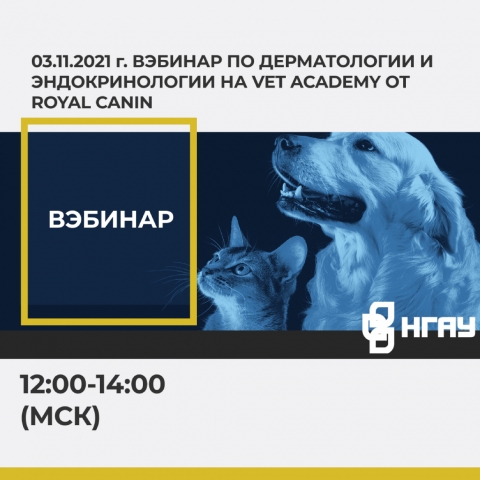 03.11.2021 г. Вэбинар по дерматологии и эндокринологии от компании Rayal Canin