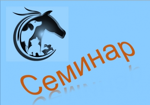 ������� �� ����: 