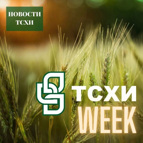 �����-WEEK� � ������� �������������������� ���������