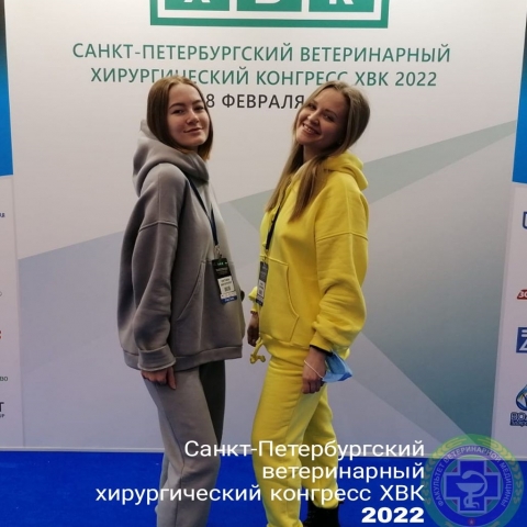 �����-������������� ������������ ������������� �������� 2022