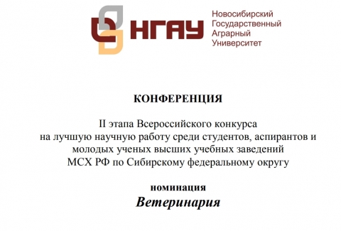 ����������� II ����� �������������� �������� �� ������ ������� ������ ����� ���������, ���������� � ������� ������ ������ ������� ��������� ��� �� �� ���������� ������������ ������