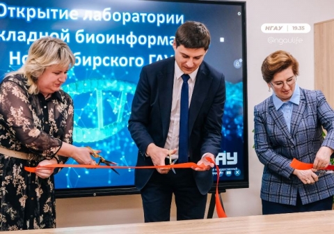 �� �������-��������������� ���������� �������������� ��� ��������� ����������� ���������� ��������������