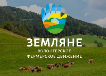����������� � ������� ��������. ������������� ����������� ���������� ��������