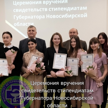 ��������� �������� ������������ �������������� ��� ������������ ����������� ������������� �������
